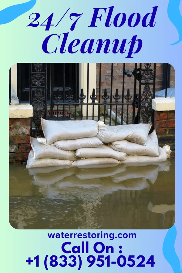24/7 Flood Cleanup in Preston, MN