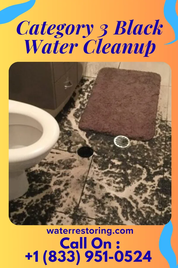Category 3 Black Water Cleanup in Preston, MN