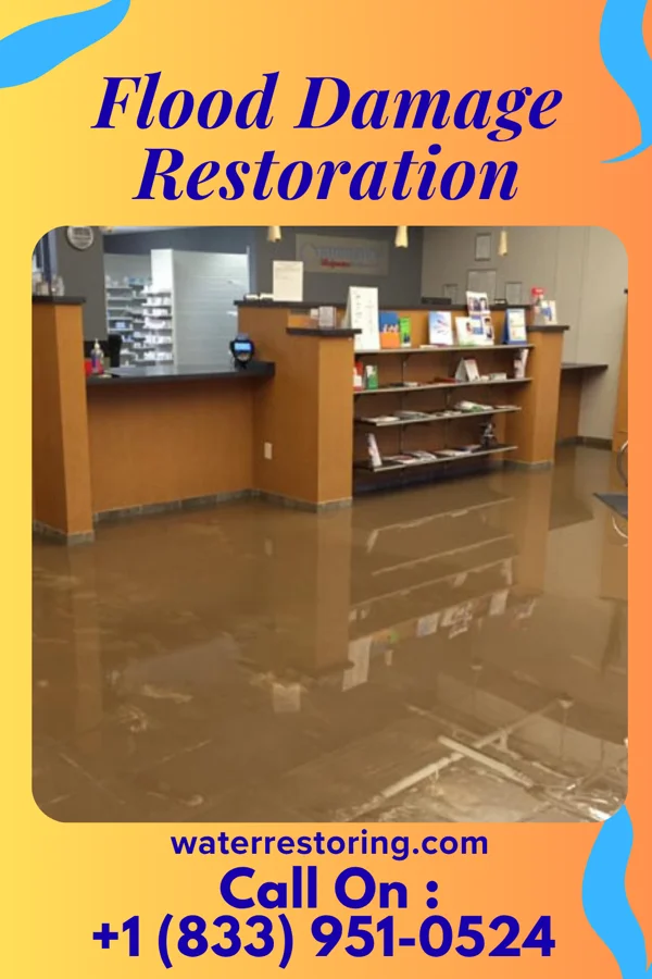 Flood Damage Restoration in Preston, MN